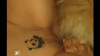 Sun-kissed blonde has intercourse with an attractive canine on the ground
