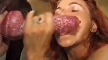 红发小妞与狗的勃起玩得很变态