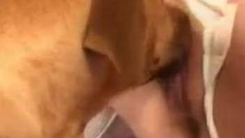 Kitty mask blonde fucked savagely by a brown pooch