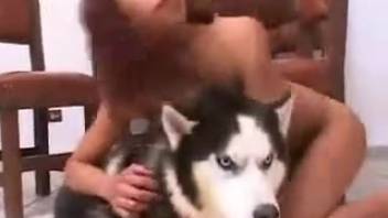 Dark-haired stunner performs oral on a horse's dick prior to intercourse