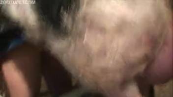 Intimate adult film featuring a alluring bestiality enthusiast and a swine