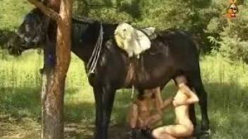 Two zoophile friends fucking the same horse outdoors