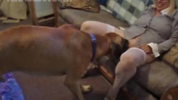 Big butt blonde is about to get ruined by a dog