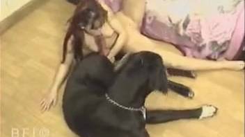 Ginger-haired bestiality enthusiast deeply penetrated by a well-hung canine
