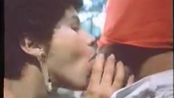 Outdoor pounding encounter featuring a group of vintage animal enthusiasts