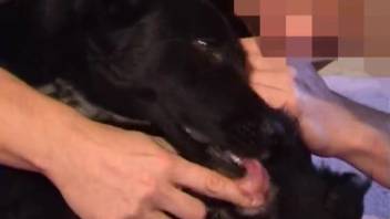 Lustful guy craves to deeply penetrate his fluffy companion
